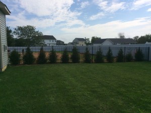 Long Island Fence