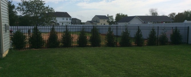 Long Island Fence