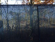 chain link long island