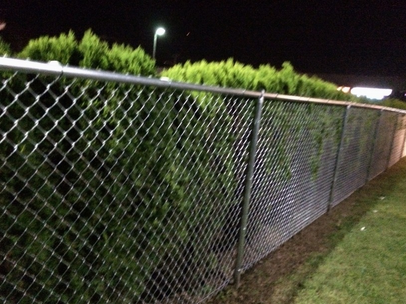 Chain Link Fence