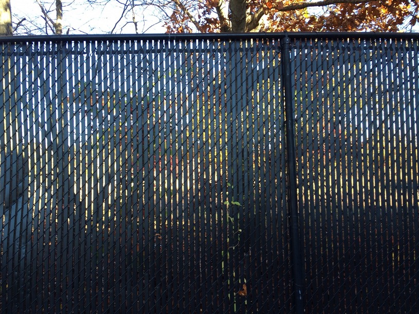 Chain Link Fence